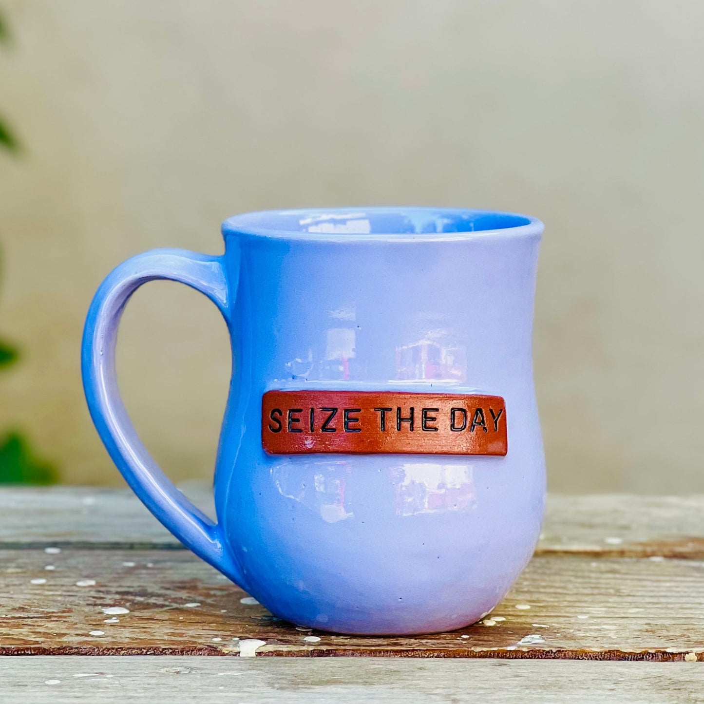Seize the Day Mug