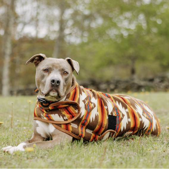 Brown Southwest Blanket Dog Coat