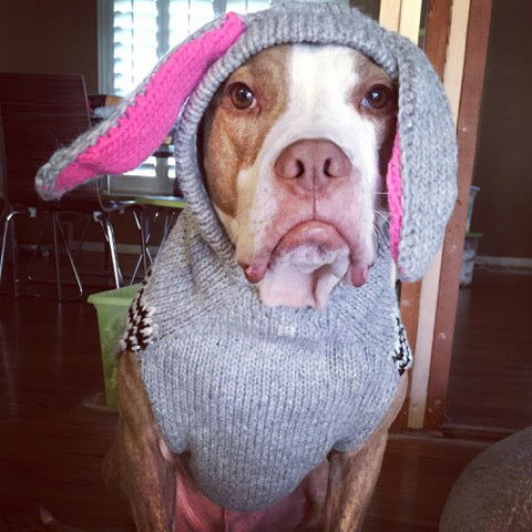 Bunny Hoodie Dog Sweater