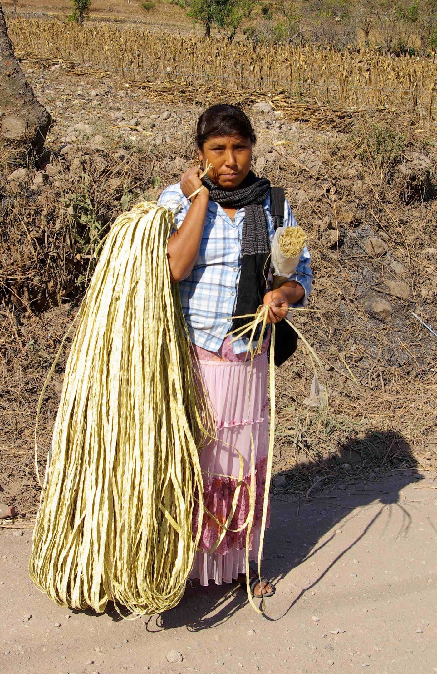 La Mesa Palm Basket