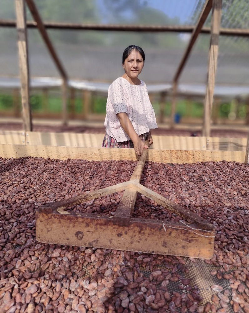 Cacao Tea