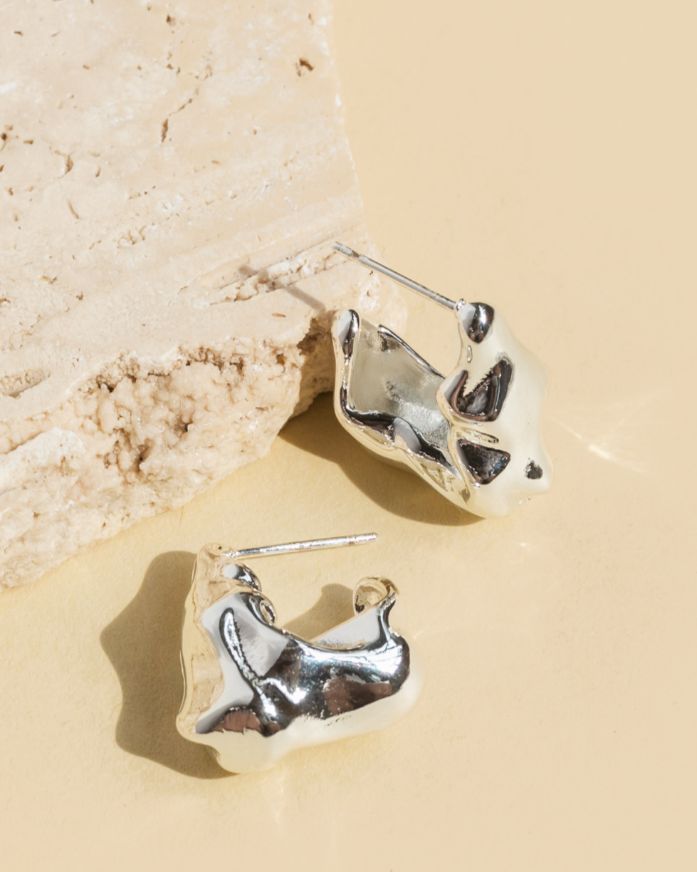 Ardin Earrings - Silver
