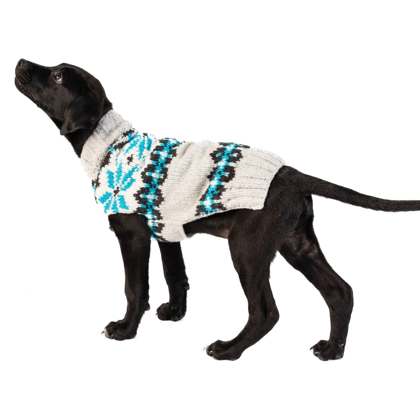Frost Dog Sweater