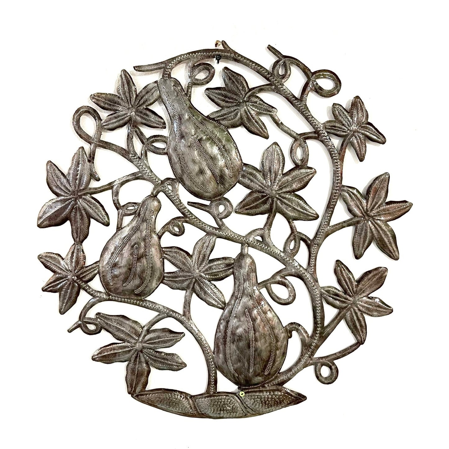 Steel Gourd Plant