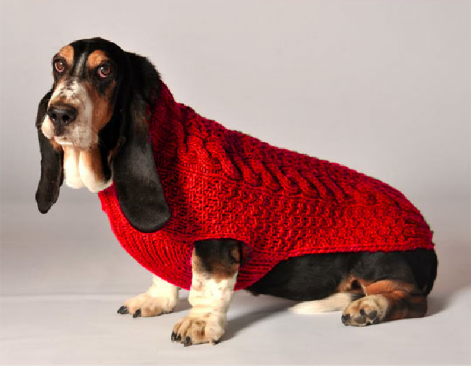 Red Cable Knit Dog Sweater