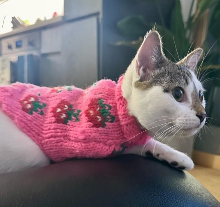 Strawberry Dog Sweater