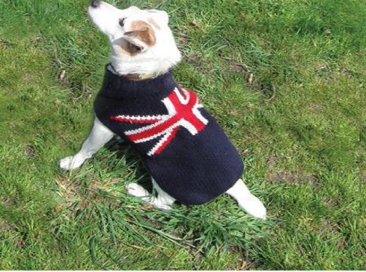 Union Jack Wool Dog Sweater