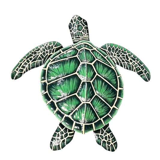 Medium Green Sea Turtle