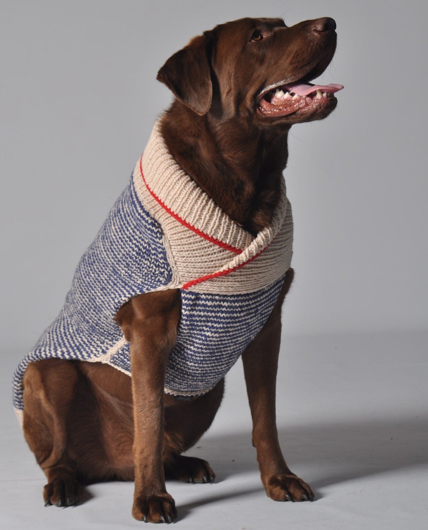Spencer Dog Sweater