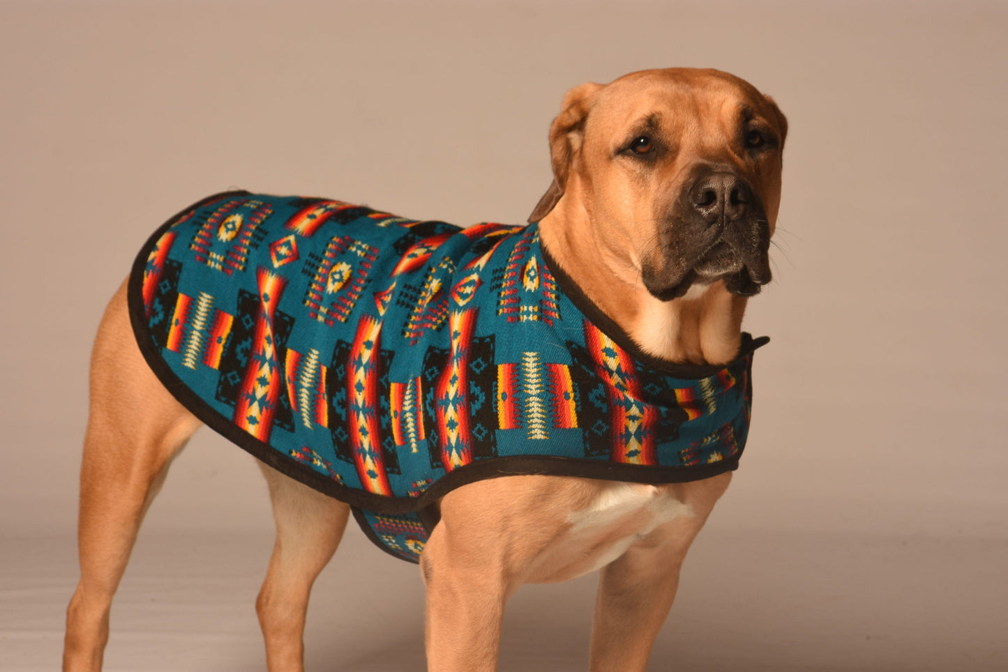 Turquoise Southwest Blanket Dog Coat