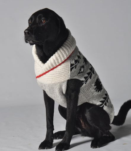 Jackson Dog Sweater