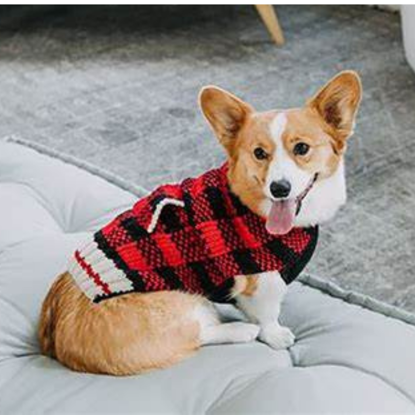 Buffalo Plaid Dog Sweater