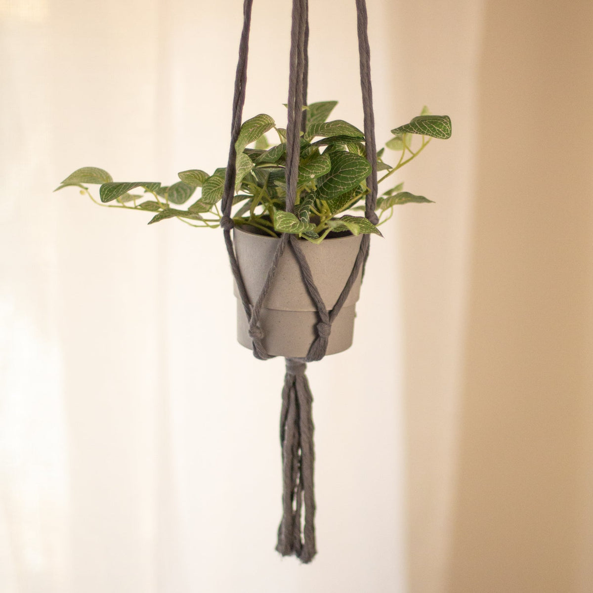 Flourish Plant Hanger in Greys