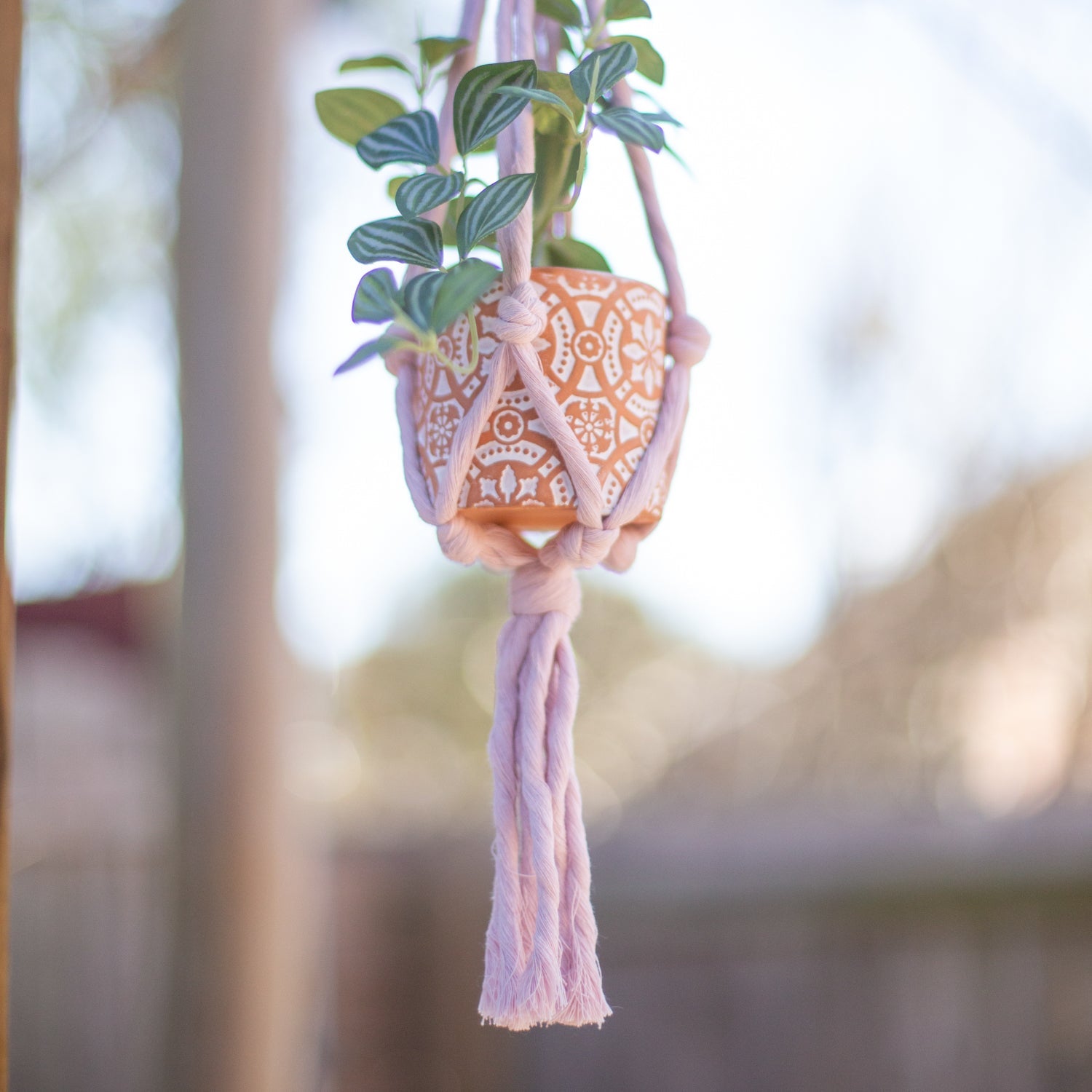 Mini Flourish Plant Hanger Lavender – Trades of Hope