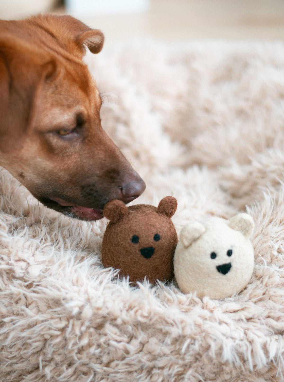 POLAR BEAR WOOL DOG TOY