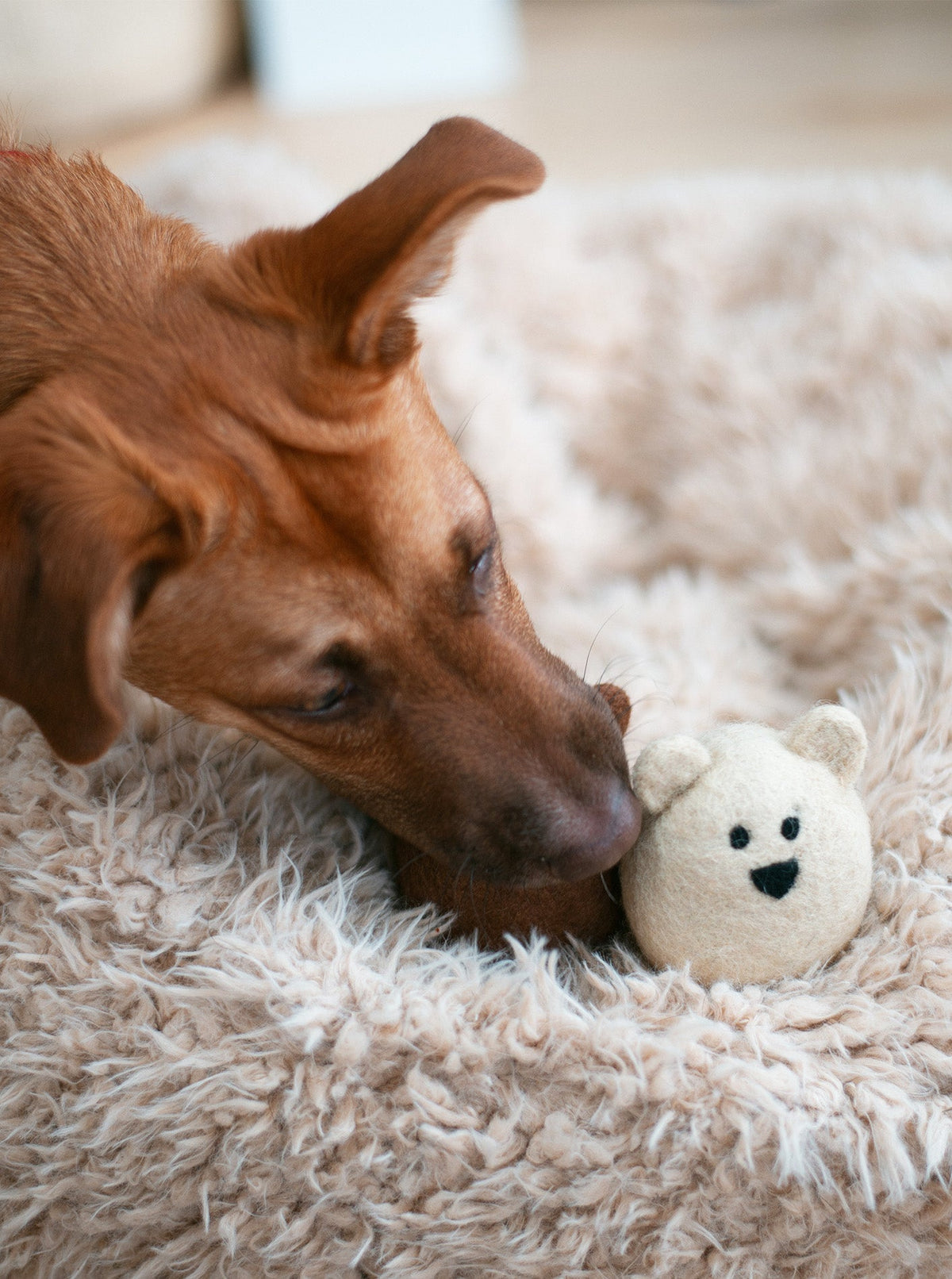 POLAR BEAR WOOL DOG TOY