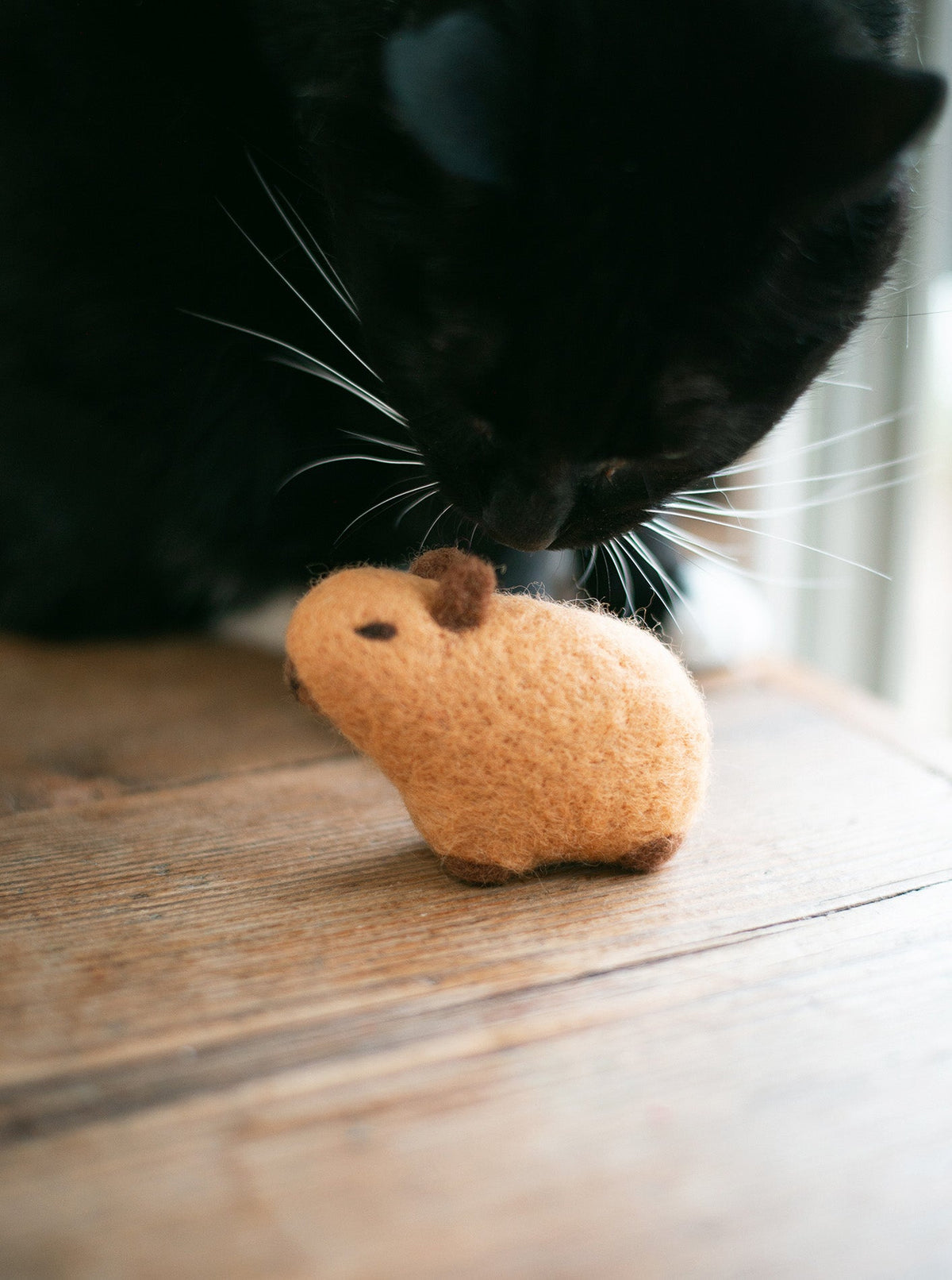 CAPYBARA WOOL DOG TOY