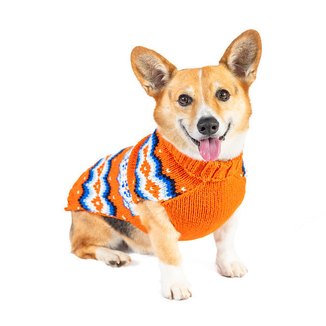 Campfire Dog Sweater