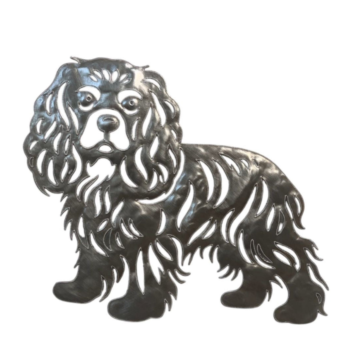 Cavalier King Charles Spaniel