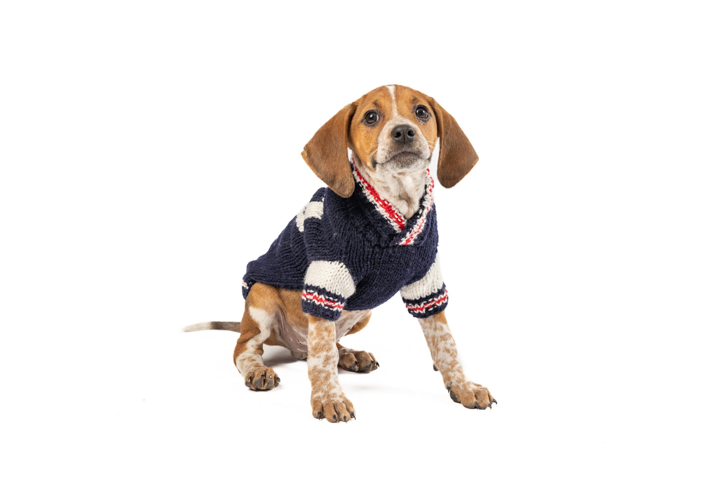 Varsity Dog Sweater