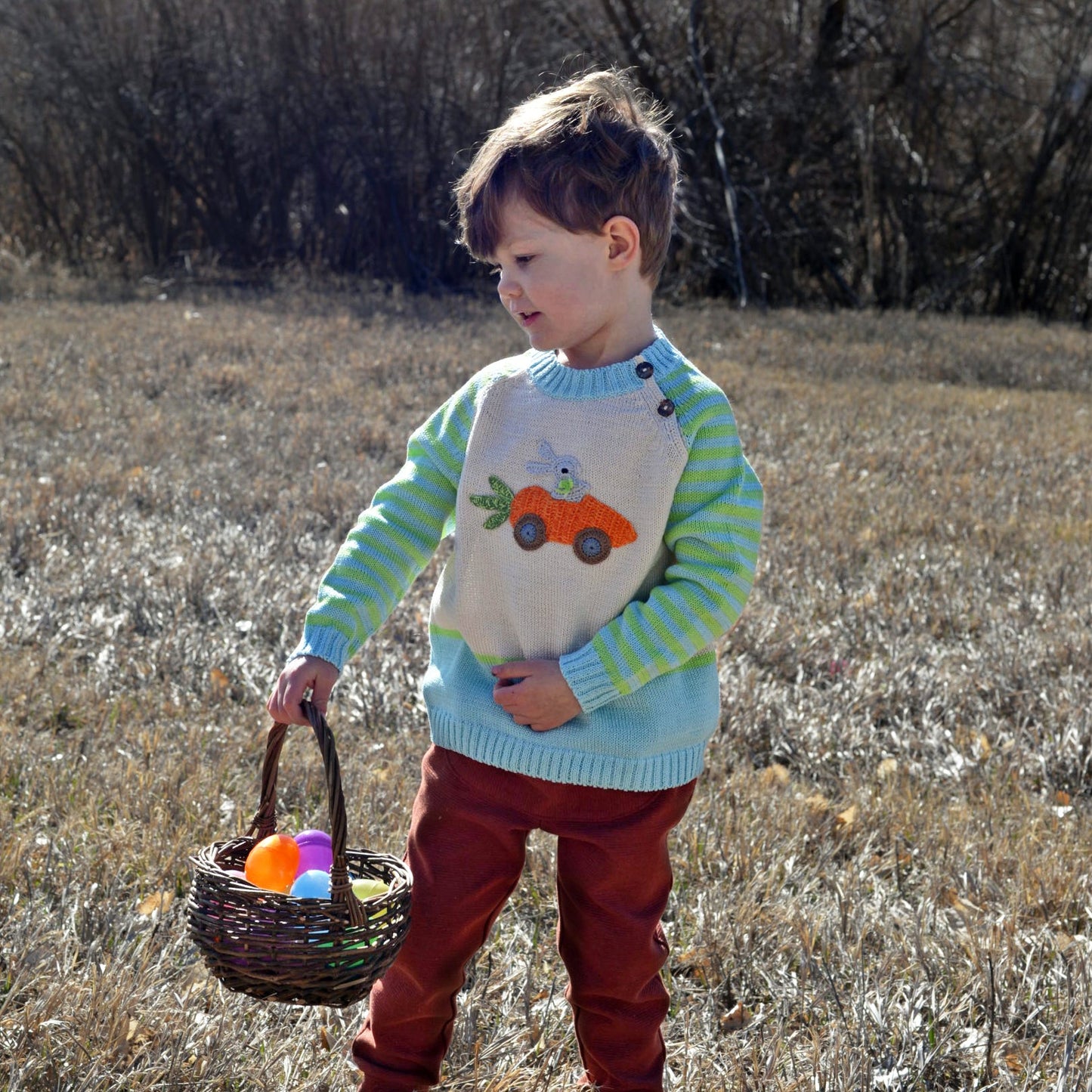 Carrot Car Sweater