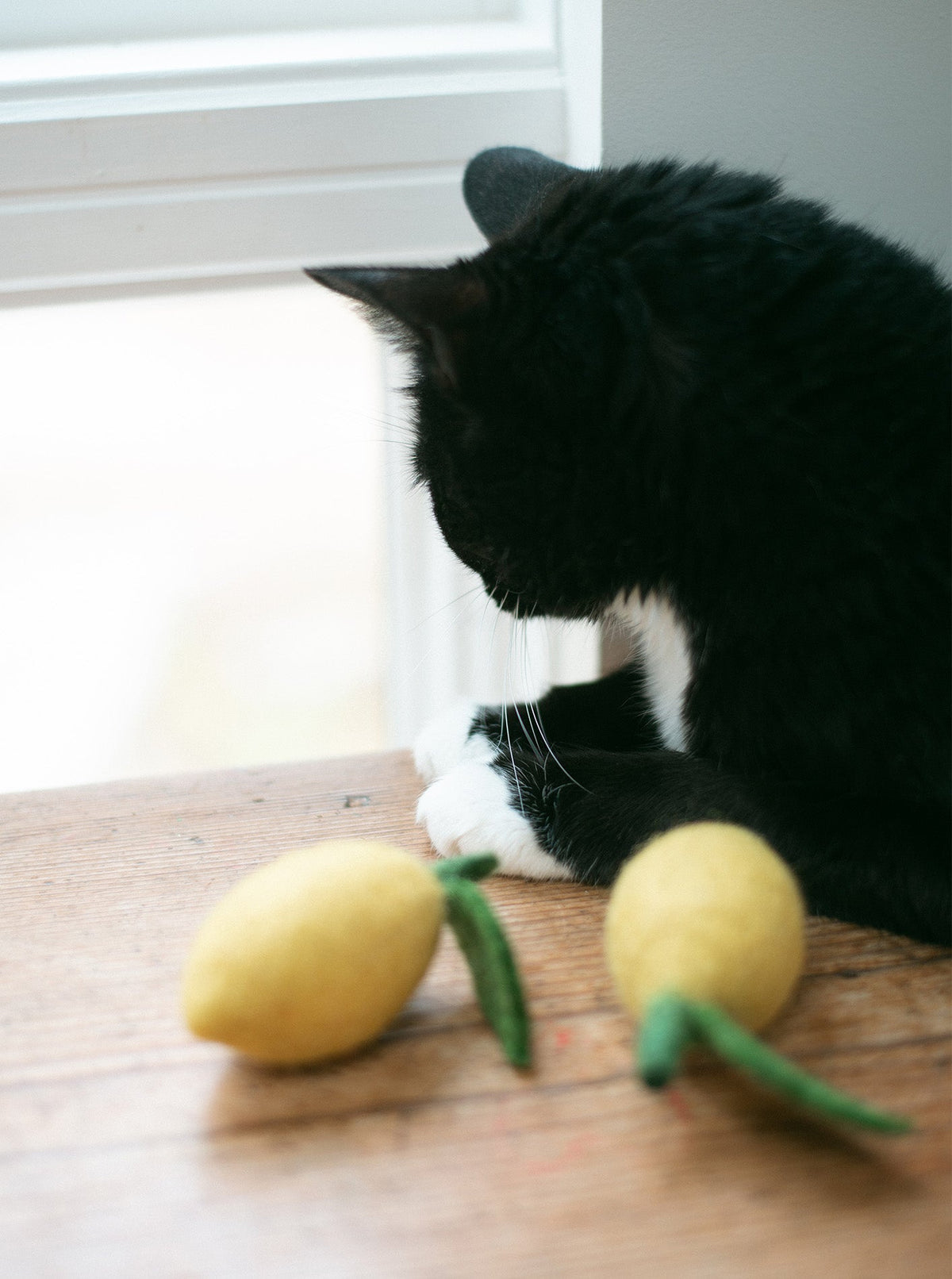 LEMON WOOL DOG & CAT TOY