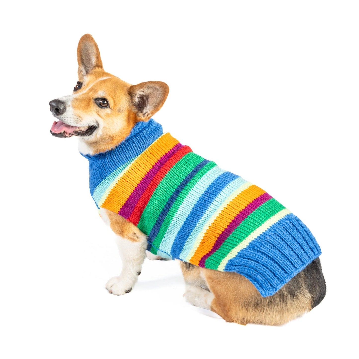 Alpaca Royal Stripe Dog Sweater