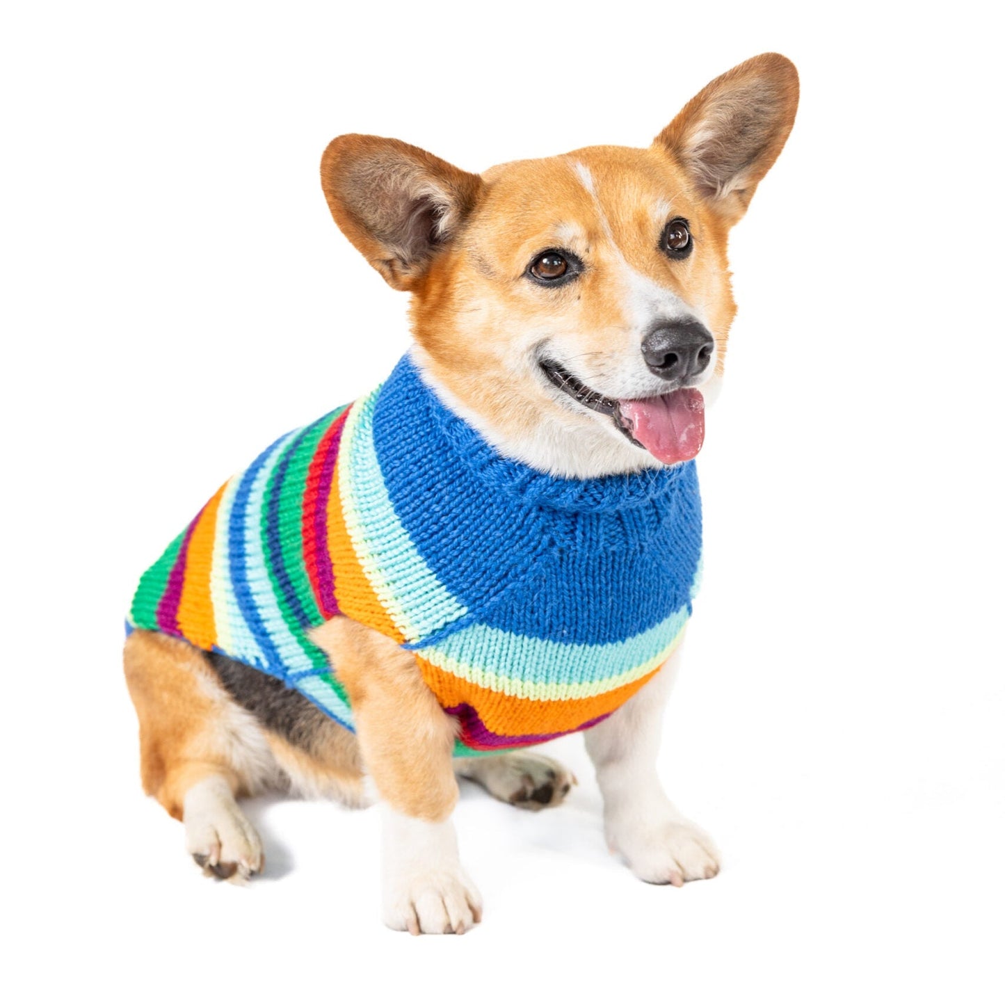 Alpaca Royal Stripe Dog Sweater