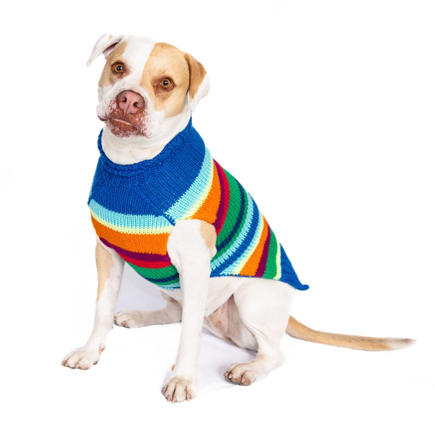 Alpaca Royal Stripe Dog Sweater