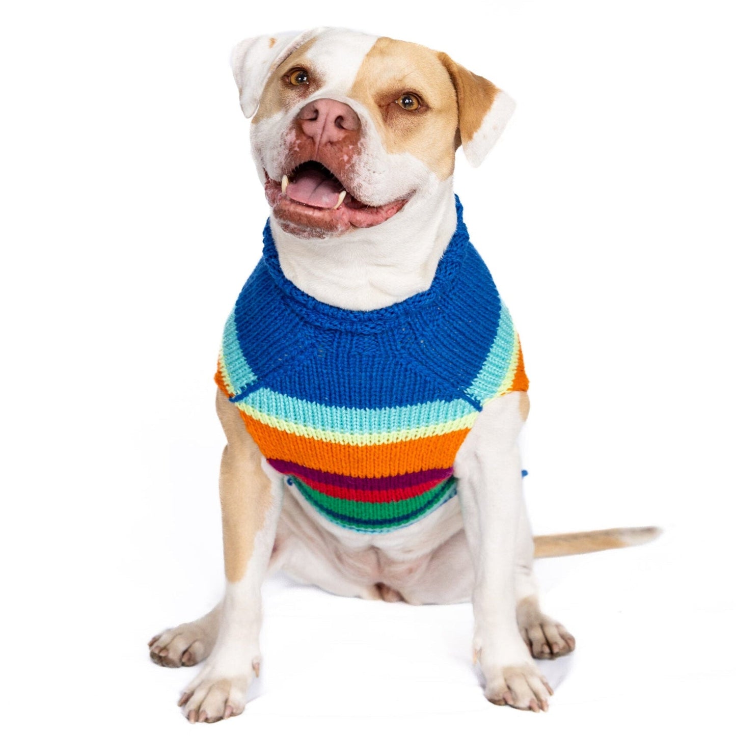 Alpaca Royal Stripe Dog Sweater