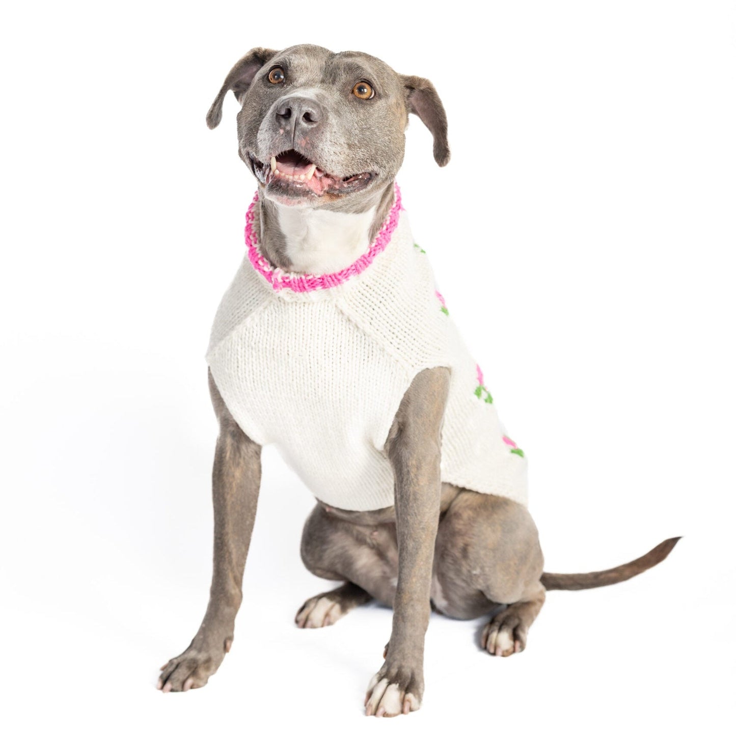 Rose Bud Dog Sweater