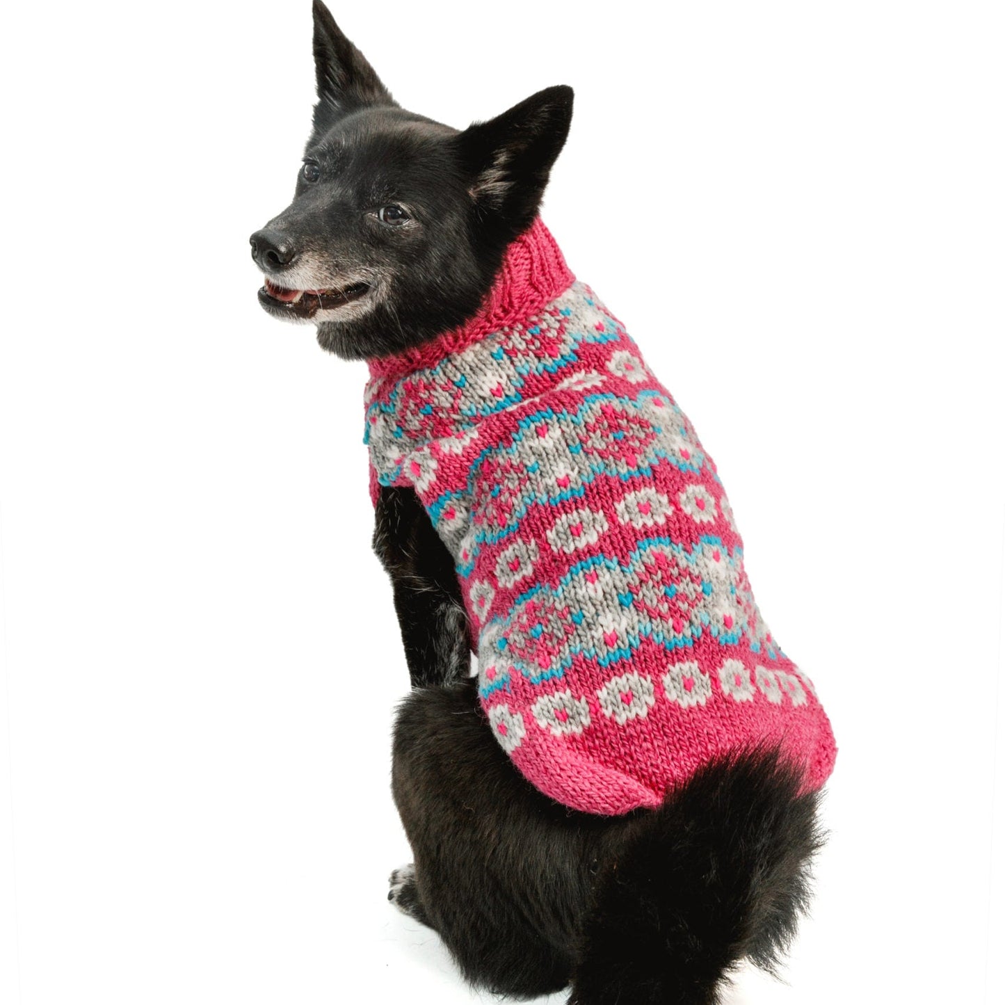 Alpaca Rose Fairisle Dog Sweater