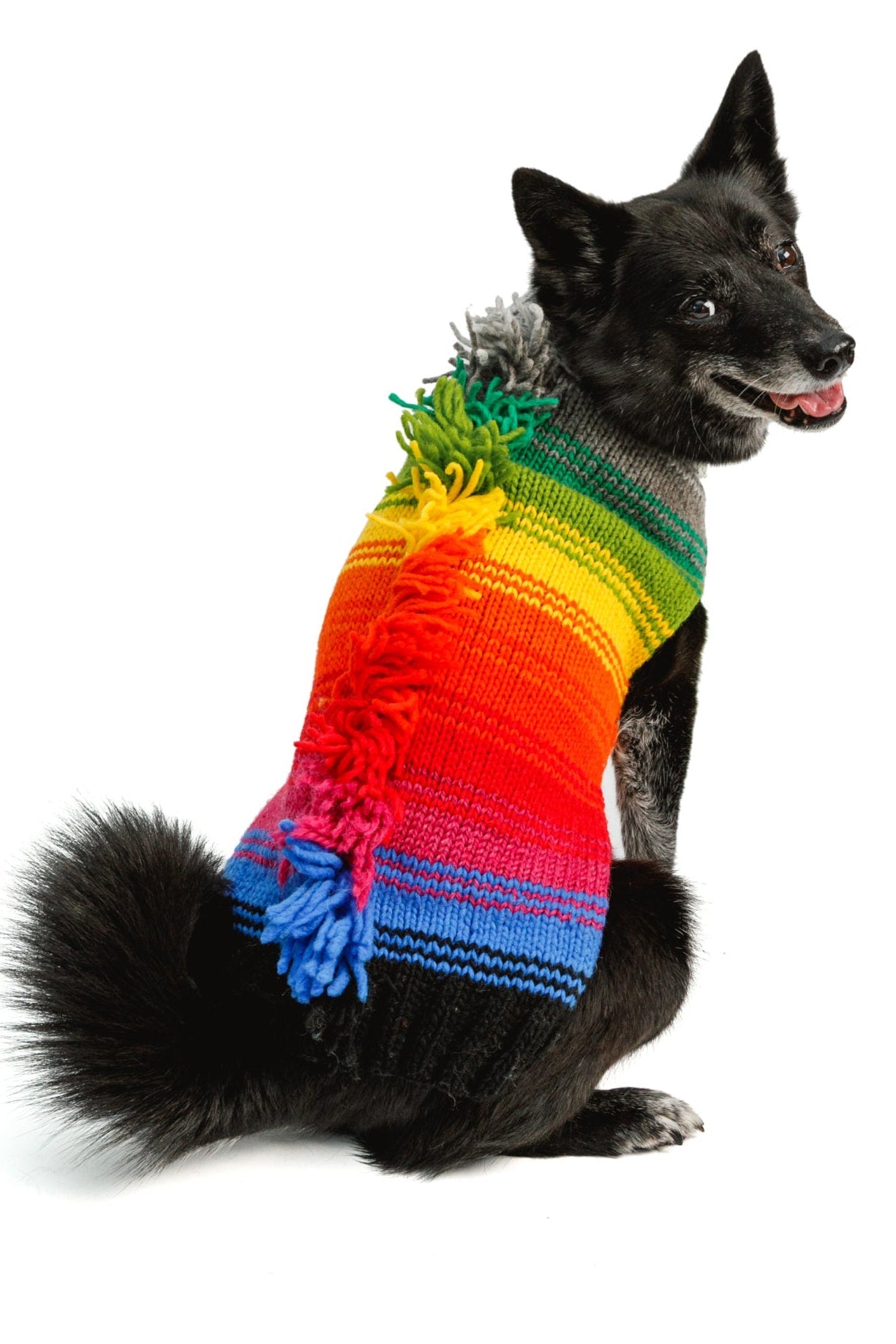 Rainbow Mohawk Dog Sweater