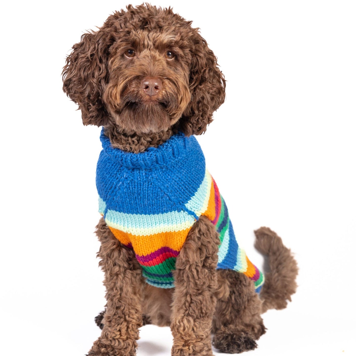Alpaca Royal Stripe Dog Sweater