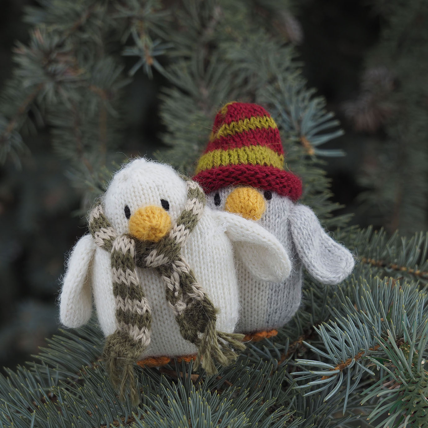 Penguin in Accessories Ornament- set of 6