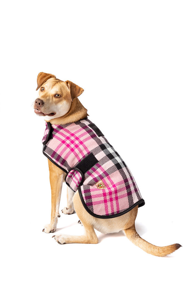 Pink Plaid Blanket Dog Coat