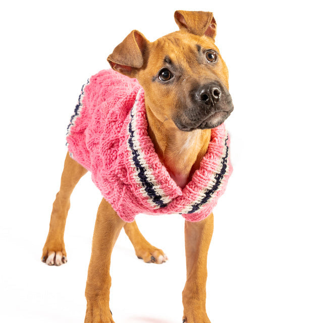 Preppy Pink Cable Knit Dog Sweater