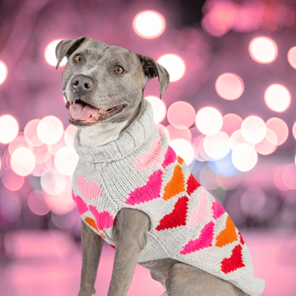 Puppy Love Dog Sweater