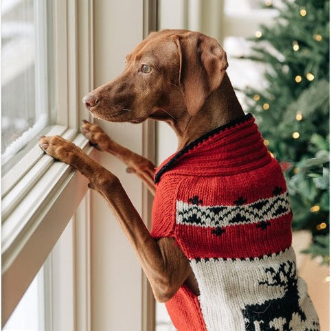 Red Reindeer Shawl Dog Sweater