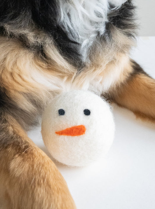 WINTER BEASTBALL DOG TOY