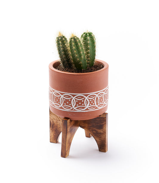 Daksha Terracotta Plant Pot with Wood Stand - large