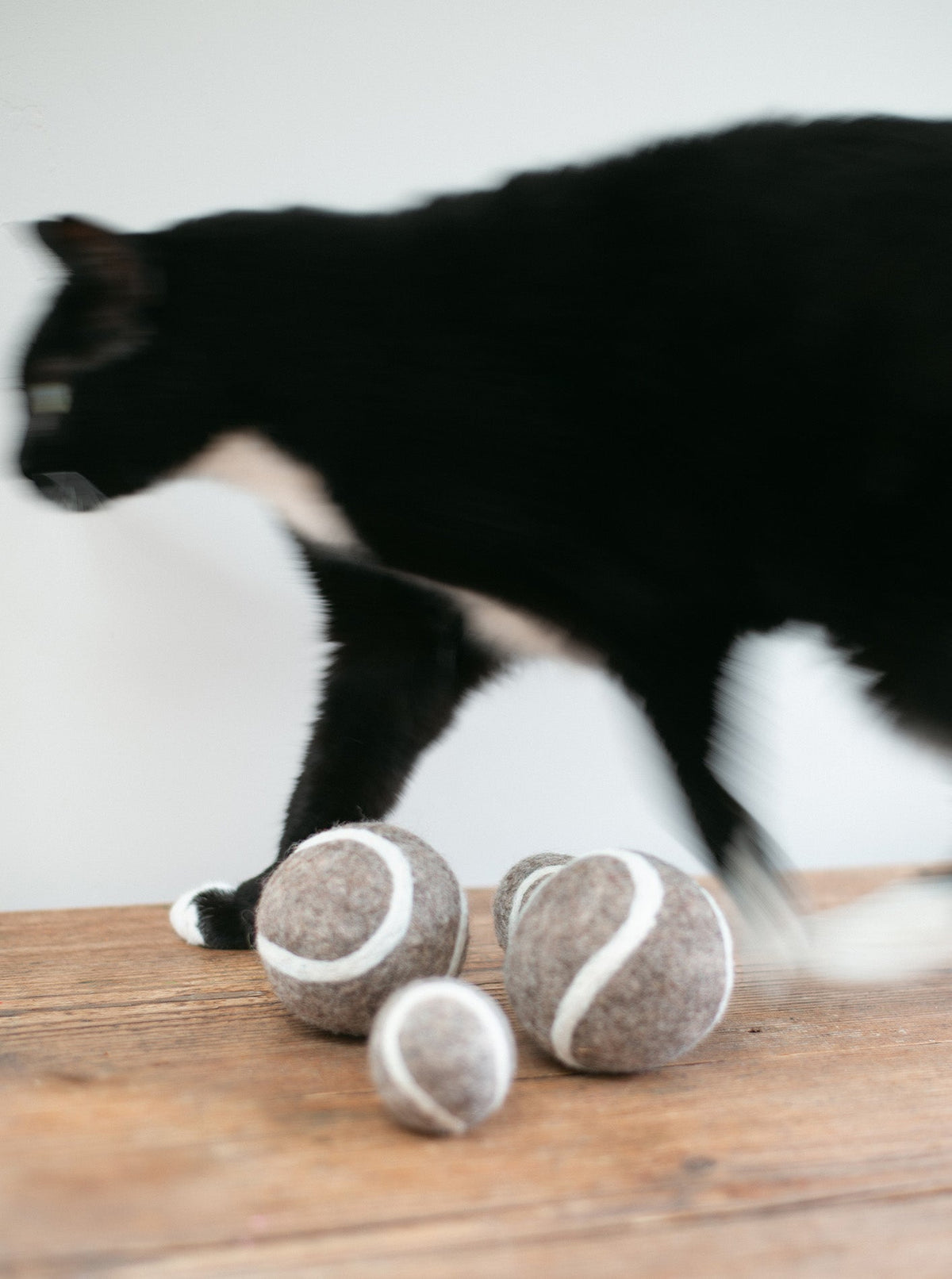 TENNIS BALL WOOL DOG TOY