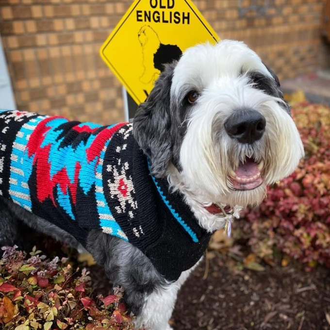 Black Southwest Dog Sweater