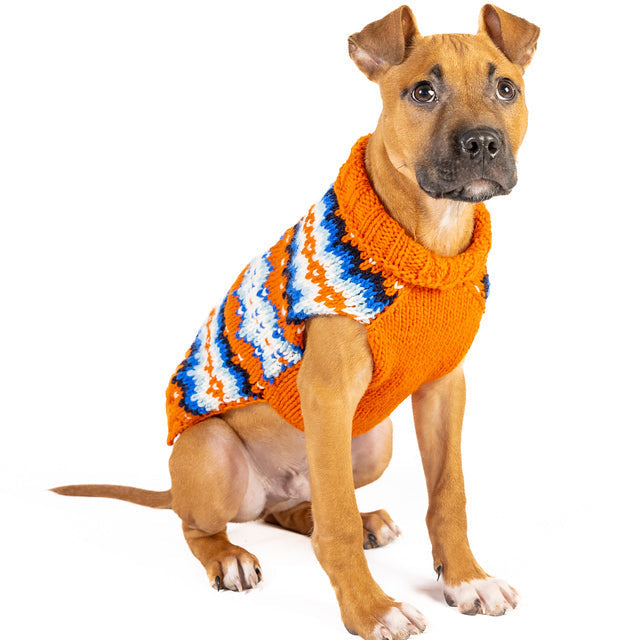 Campfire Dog Sweater