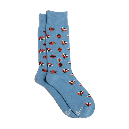 Socks that Protect Pollinators | Blue Ladybugs