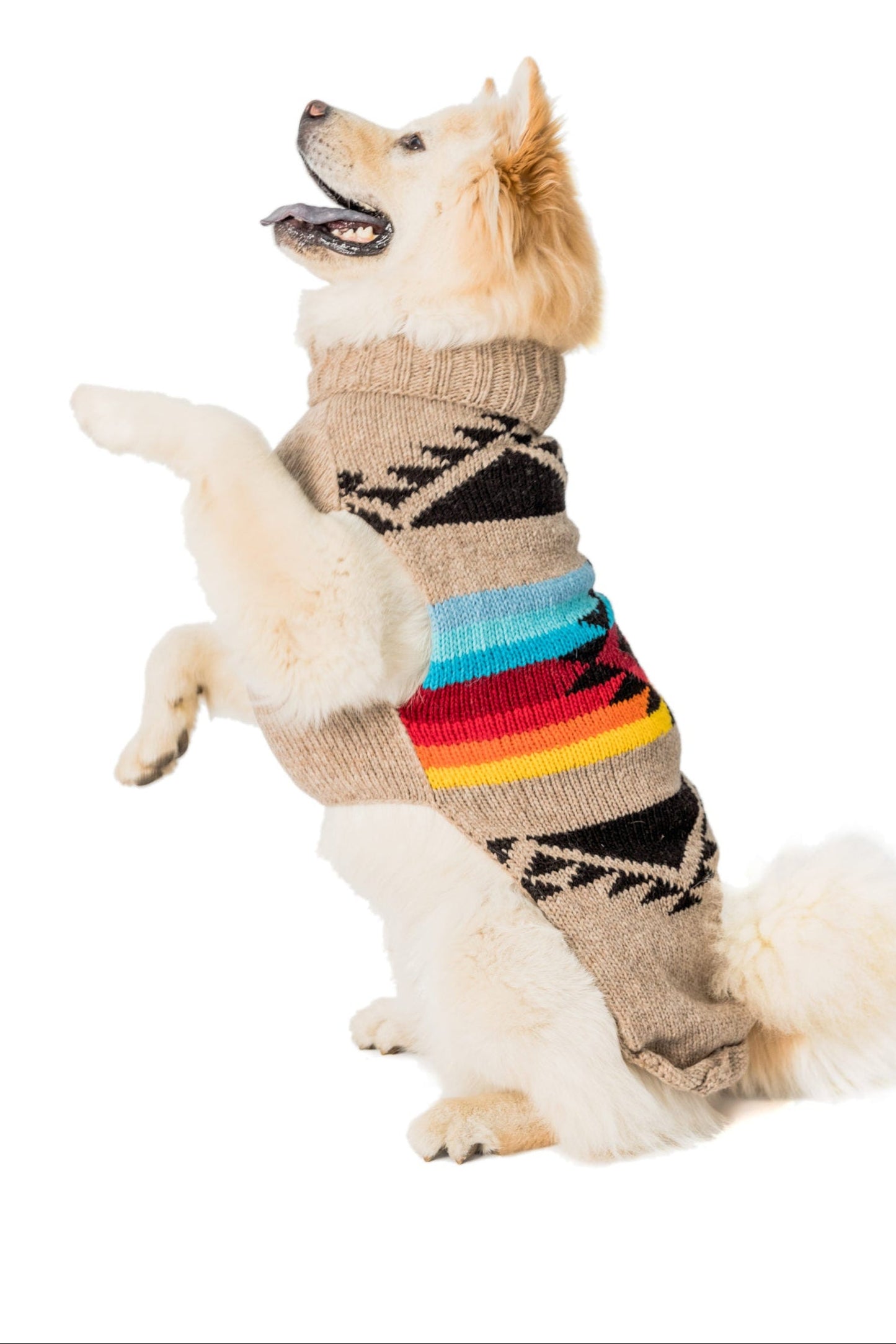 Painted Desert Dog Sweater