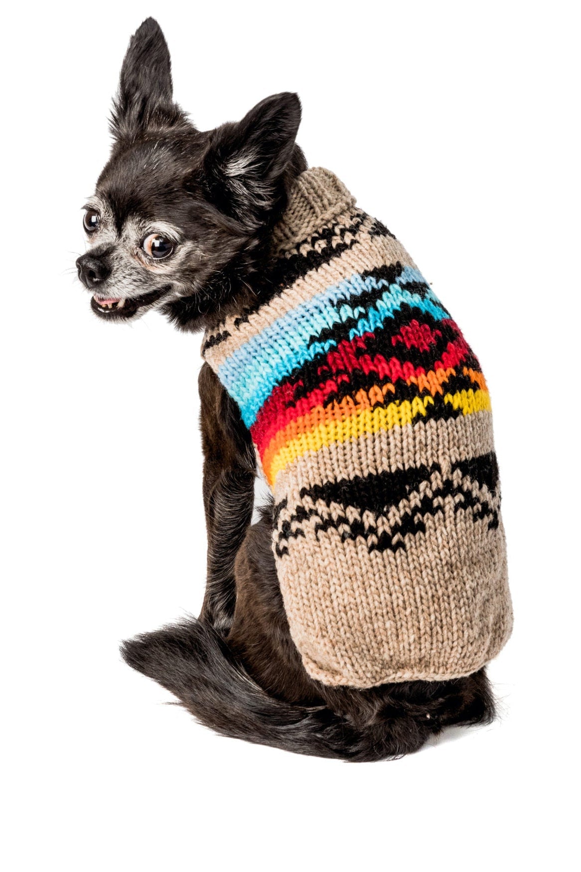 Painted Desert Dog Sweater