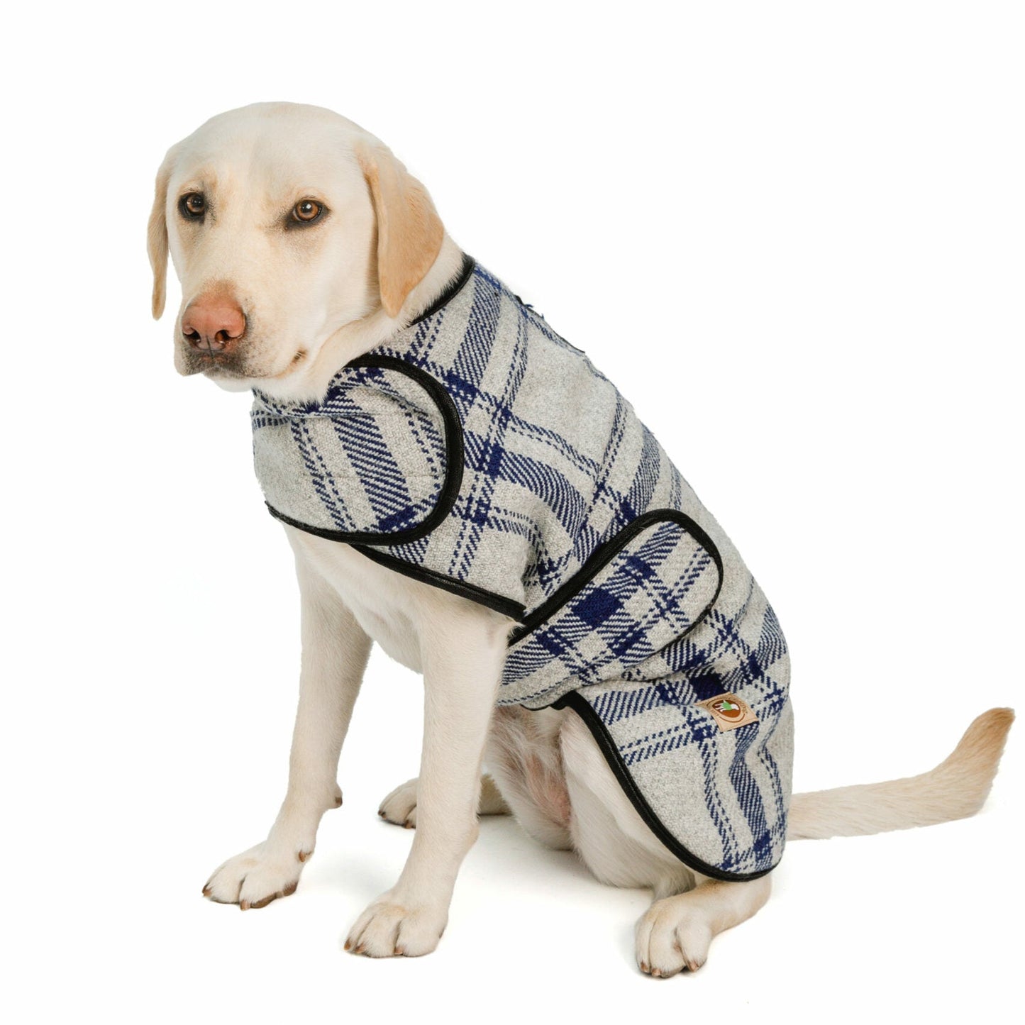 Gray and Blue Plaid Blanket Dog Coat