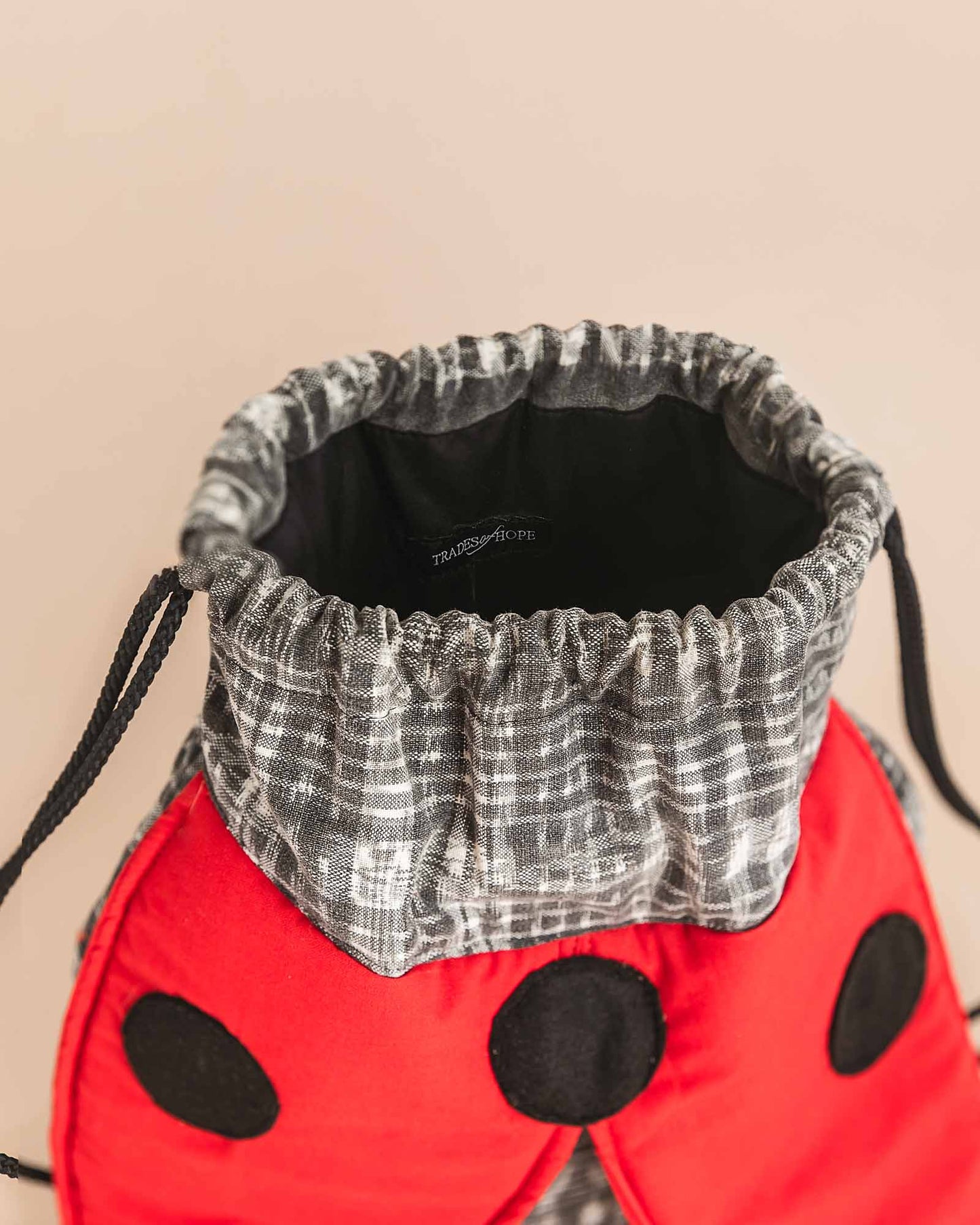 Ladybug Backpack