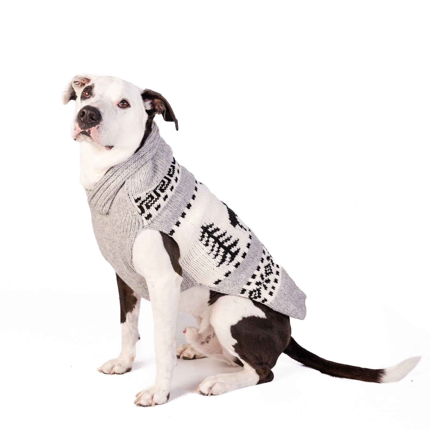 Reindeer Shawl Dog Sweater